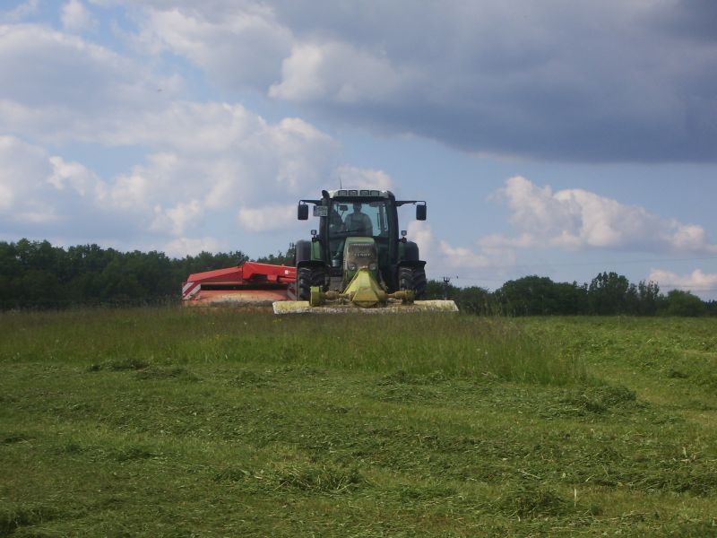 Fendt Vario 818 TMS 02.jpg